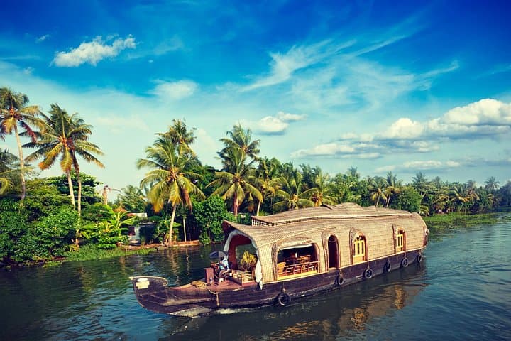 Kerala Backwaters & Western Ghats: 8-Day Private Tour from Kochi photo 6