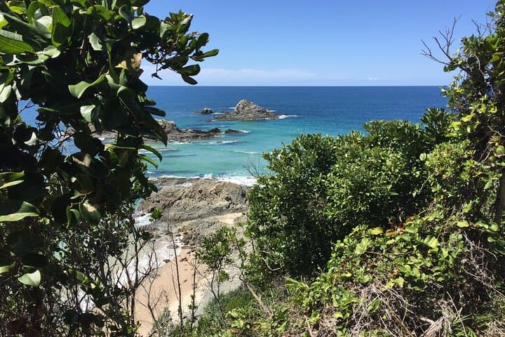 Behind the Bay: Byron Bay Waterfalls, Lake Ainsworth & Paddleboard Adventure photo 4