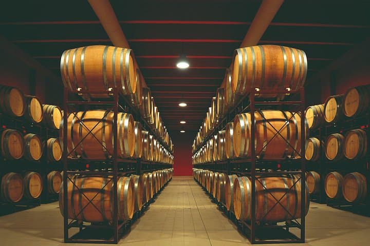 Winery Tour & Wine Tasting in the Pescara Countryside — Montepulciano d'Abruzzo Wines photo 3