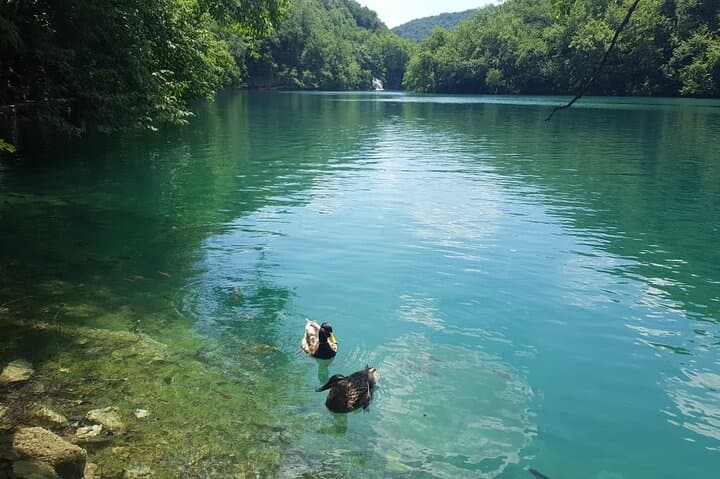 Plitvice Lakes Day Trip from Split or Trogir — Small-Group Guided Tour photo 5