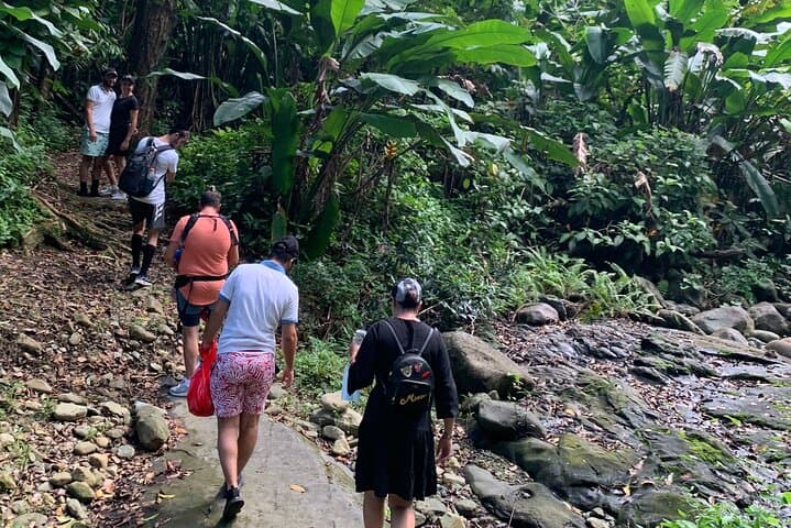 El Yunque and Luquillo Beach Day Trip: Swim the Mameyes, Climb Yokahú Tower & Eat at the Kiosks photo 3