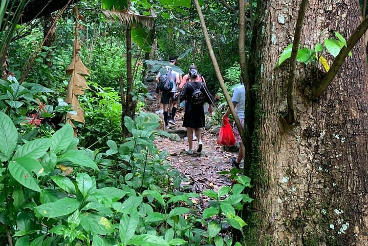 El Yunque and Luquillo Beach Day Trip: Swim the Mameyes, Climb Yokahú Tower & Eat at the Kiosks photo 4