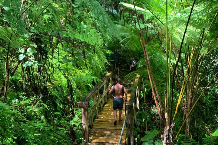 El Yunque and Luquillo Beach Day Trip: Swim the Mameyes, Climb Yokahú Tower & Eat at the Kiosks