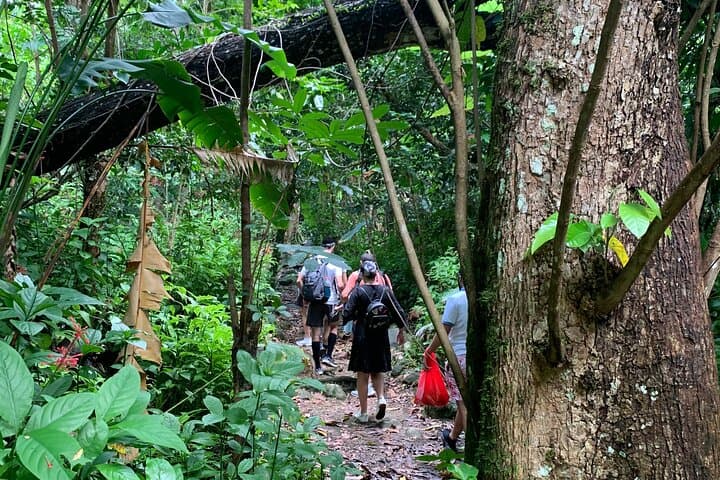 Rainforest River Nature Walk and Luquillo Beach — El Yunque Half-Day Adventure