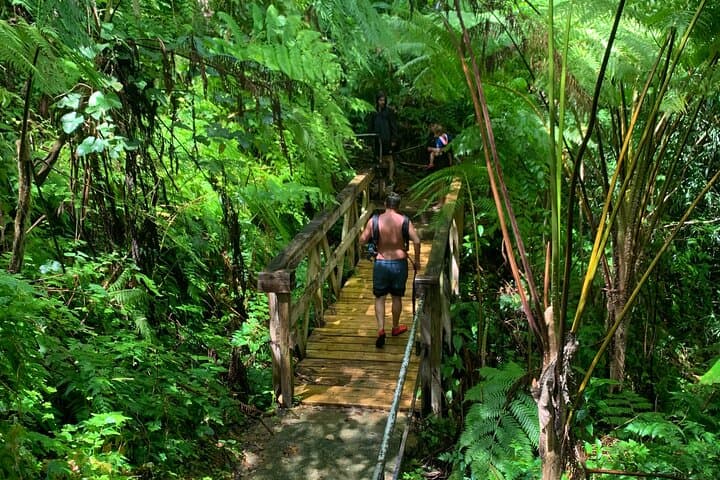 El Yunque to Luquillo: Full-Day Rainforest Hike, Beach Break & Laguna Grande Bio Bay Kayak photo 2