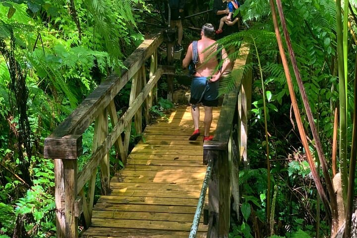 El Yunque Rainforest to Luquillo Beach: Half-Day Rainforest Walk and River Swim photo 6