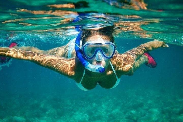 Cabo San Lucas Snorkeling Tour: Best Reefs & Marine Life (4-Hour) photo 1
