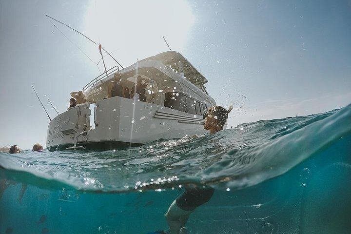 Cabo San Lucas Snorkeling Tour: Best Reefs & Marine Life (4-Hour) photo 2