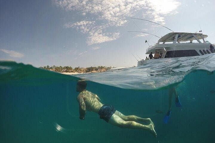 Cabo San Lucas Snorkeling Tour: Best Reefs & Marine Life (4-Hour) photo 3
