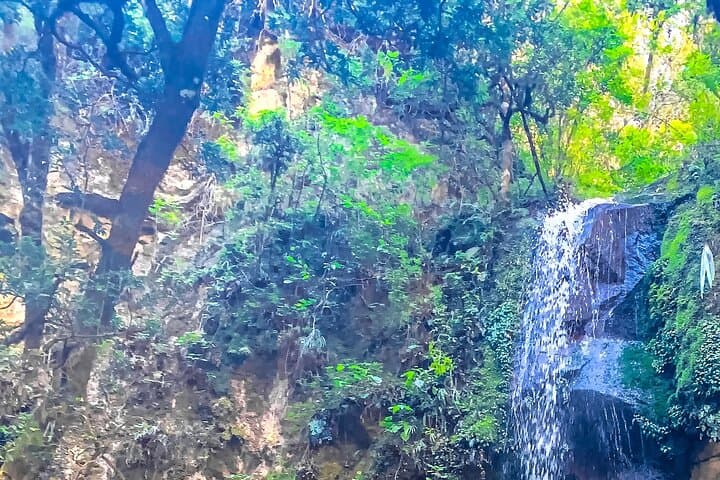 Full-Day Bromeliad Forest Hike and Cultural Tour from Oaxaca photo 3