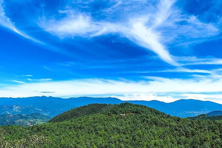 Full-Day Bromeliad Forest Hike and Cultural Tour from Oaxaca photo 6