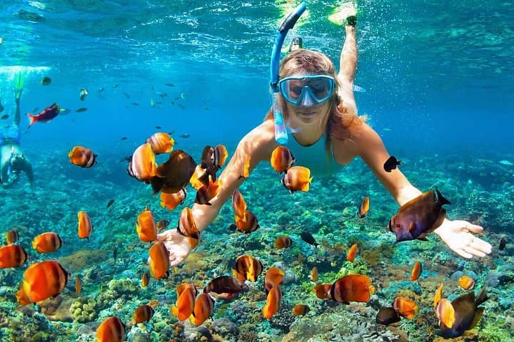 Sea Kayaking and Snorkeling in Samaná Bay to Cayo Levantado photo 2