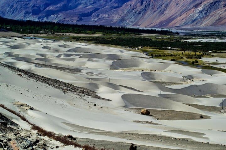 Khardung La to Nubra Valley: Overnight Camp, Hunder Dunes & Diskit Gompa photo 6