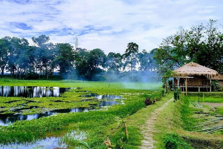 Assam Tea Estates to Majuli: Private Rainforest & River Island Tour from Dibrugarh photo 5
