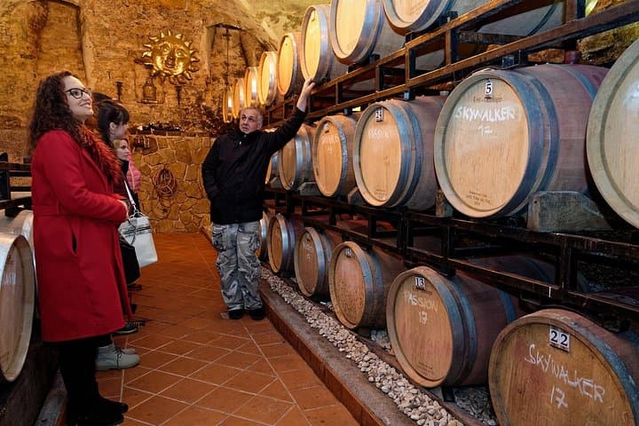 Jeruzalem Wine and Culinary Adventure: Full-Day Tasting Tour from Ljubljana or Ptuj photo 3