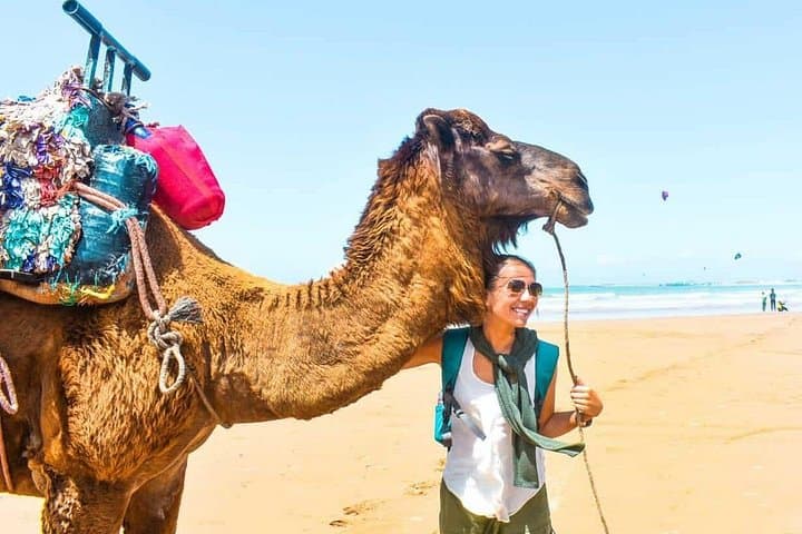 Essaouira Day Trip from Marrakech: Coastal Medina, Beaches & Gnawa Music photo 3