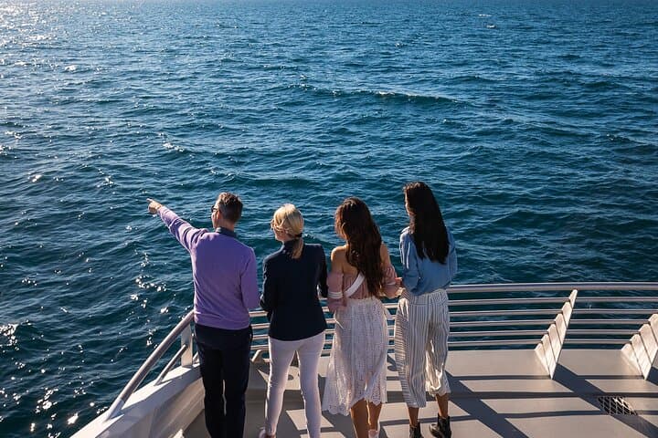 sydney-harbour-whale-watching-hop-on-hop-off-explorer-cruise photo 5