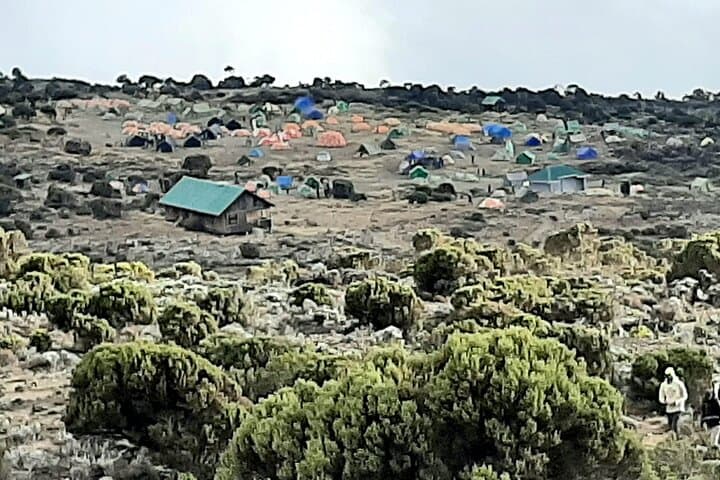 Kilimanjaro Machame Route: 6-Day Whisky Route Summit Trek from Moshi photo 3