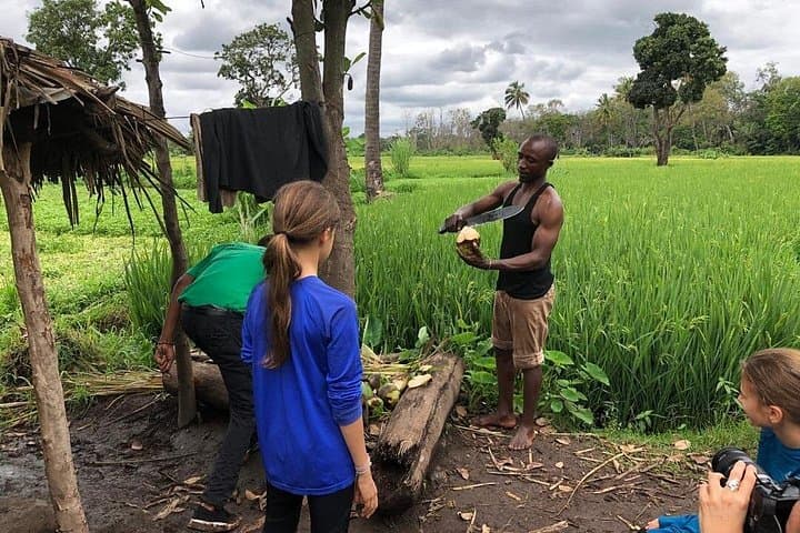 Rau Forest Reserve Day Hike Near Moshi — Springs, Colobus Monkeys & Tree Planting photo 4