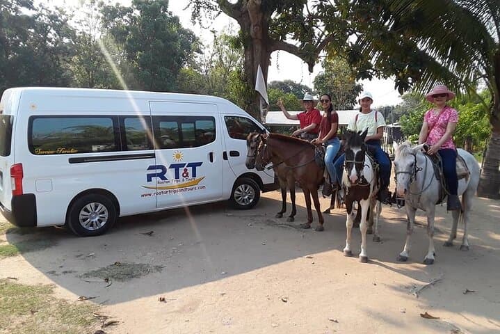 Roatán Horseback Ride and Beach Break: Hilltop Views to Ocean Sand