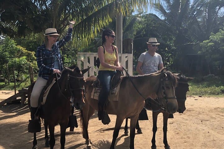 Roatán Horseback Ride and Beach Break: Hilltop Views to Ocean Sand photo 2