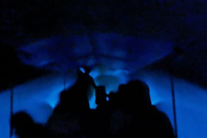 Puerto Escondido Bioluminescent Night Tour at Manialtepec Lagoon photo 2