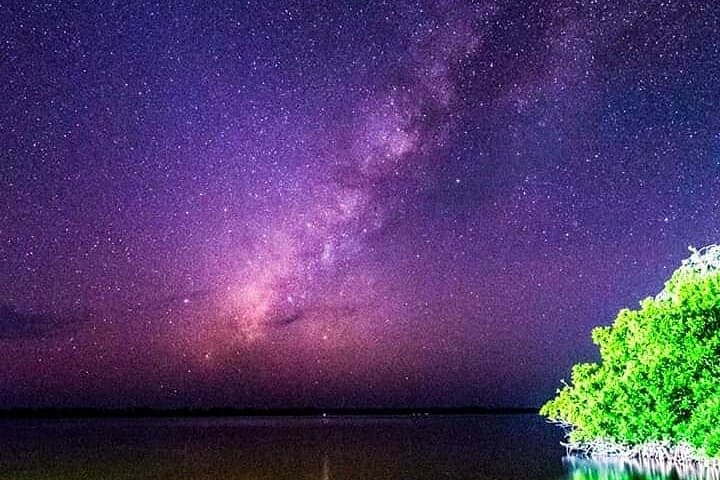 Puerto Escondido Bioluminescent Night Tour at Manialtepec Lagoon photo 3