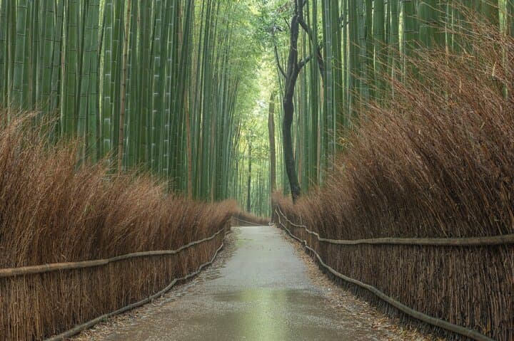 Kyoto in a Day: Private Tour of 10 Must-See Spots photo 3