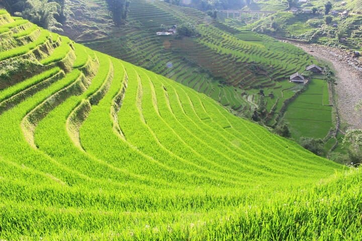 Amazing Sapa Hiking & Sightseeing: 3-Day Sapa Trek & Fansipan Cable Car photo 3