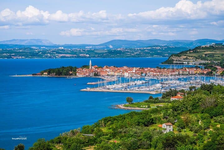 Koper to Piran: Panoramic Parenzana E‑Bike Coastline Tour photo 5