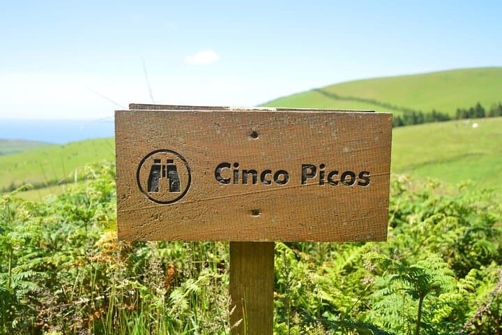 Passagem das Bestas Hike — Guilherme Moniz Crater Walk on Terceira Island, Azores photo 2