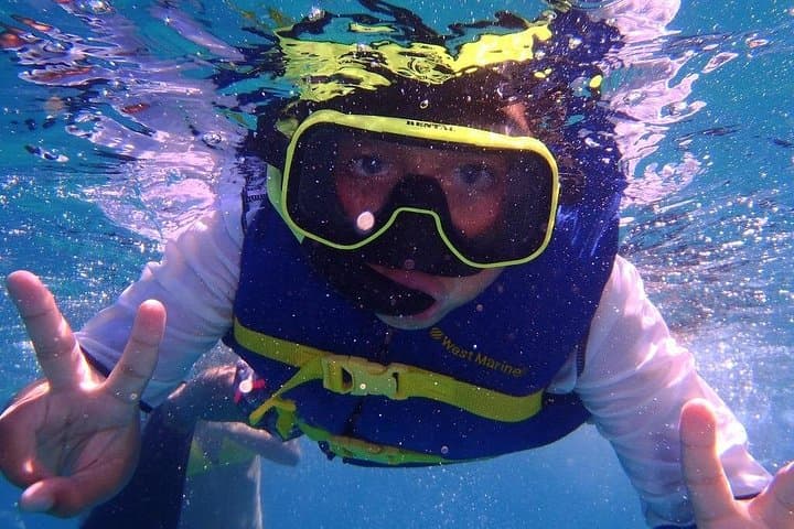 Cabo San Lucas Snorkeling Tour: Best Reefs & Marine Life (4-Hour) photo 4