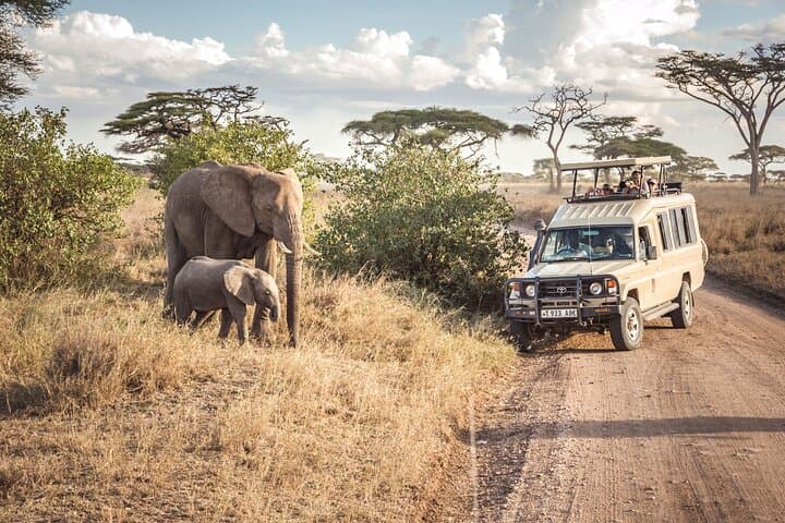 6-Day Tanzania Lodge Safari to See the Great Migration photo 6