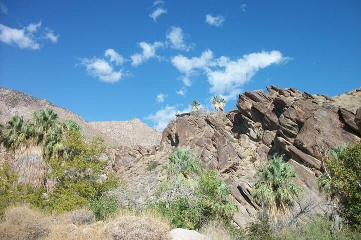 Jeep Tour and Andreas Canyon Hike in Indian Canyons (Palm Springs) photo 2