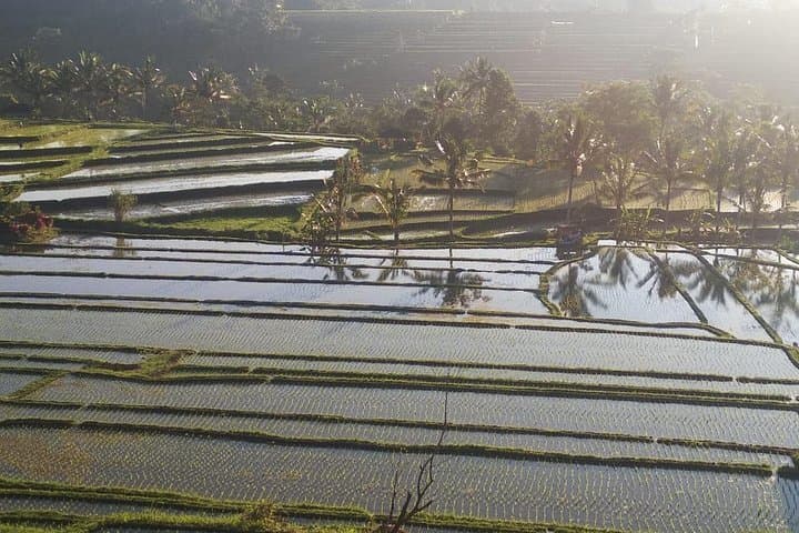 Full-Day Private Tour: Aling-Aling Waterfall, Ulun Danu Beratan & Jatiluwih Rice Terraces photo 3