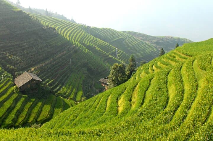 Longji (Longsheng) Rice Terraces — Full-Day Guide to the Dragon's Backbone photo 4