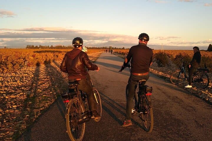 E-Bike the Alpilles: Saint-Rémy Vineyard & Wine-Tasting Loop photo 2