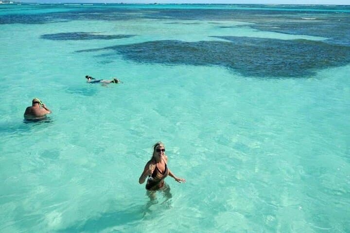 Saona Island Excursion from Bayahibe: Natural Pool, Beach Buffet & Speedboat Return