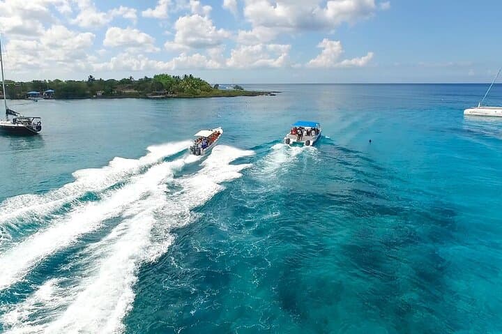 Saona Island Excursion from Bayahibe: Natural Pool, Beach Buffet & Speedboat Return photo 6