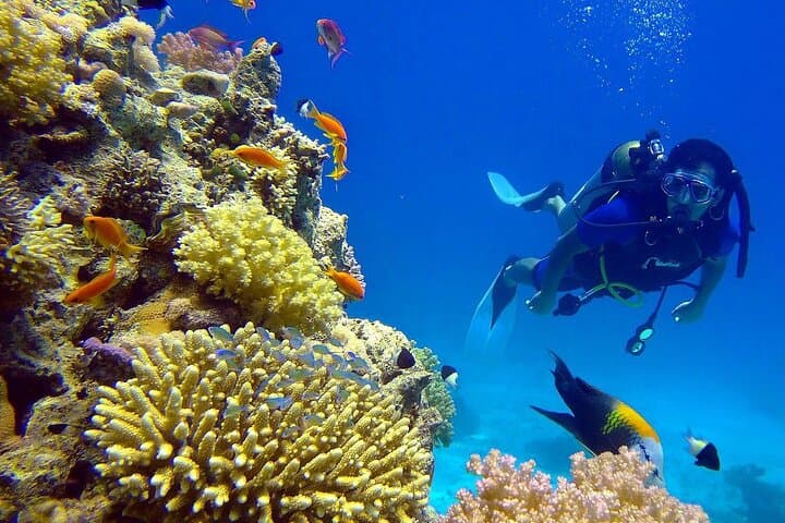 Full-Day Snorkeling at Utopia Island — Red Sea Reefs from Hurghada photo 2