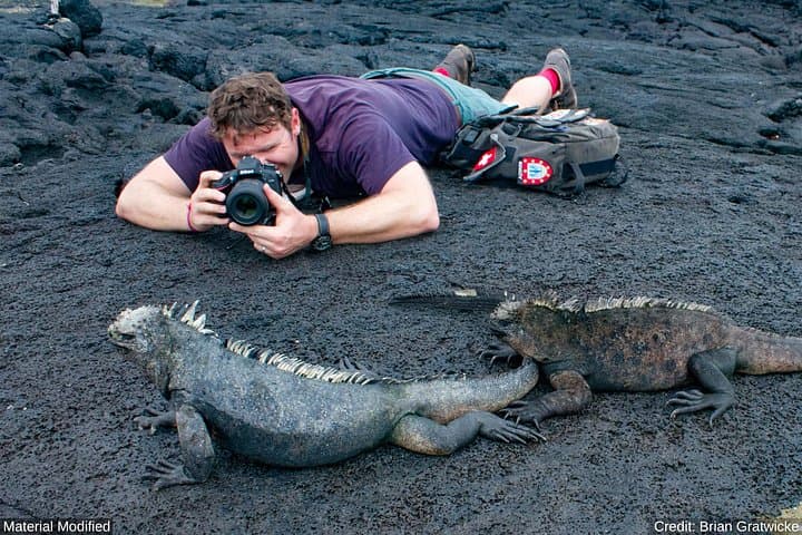 Ecuador & Galapagos in 12 Days: Quito, Volcanoes & Galápagos Wildlife Cruise photo 1