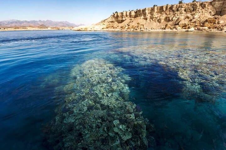 Ras Mohammed National Park Snorkelling Trip from Sharm El Sheikh photo 2
