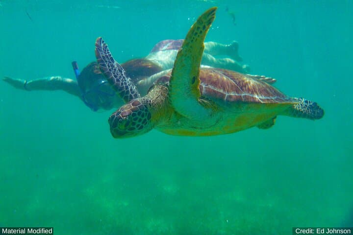 14-Day Philippines: Whale Sharks, Canyoneering, Lagoons & Island-Hopping photo 5