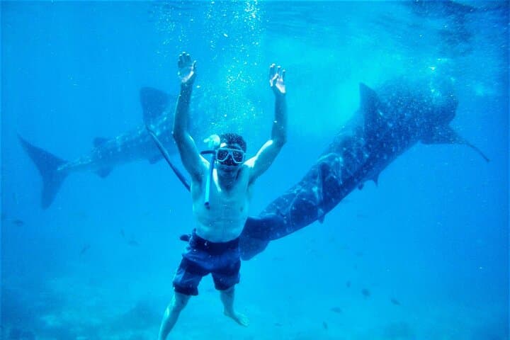 6-Day Bohol, Cebu & Dumaguete Adventure: Whale Sharks, Canyoneering & Apo Island Turtles photo 5