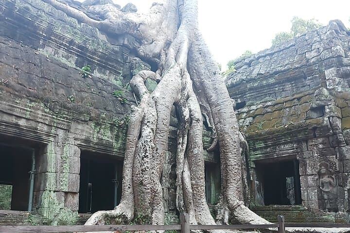 Custom Private Guide in Siem Reap — Angkor Wat, Ta Prohm & Local Markets photo 3