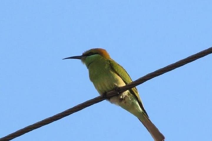 Karnala Bird Sanctuary Day Trip From Mumbai: Birding, Fort Trek & Brunch photo 4