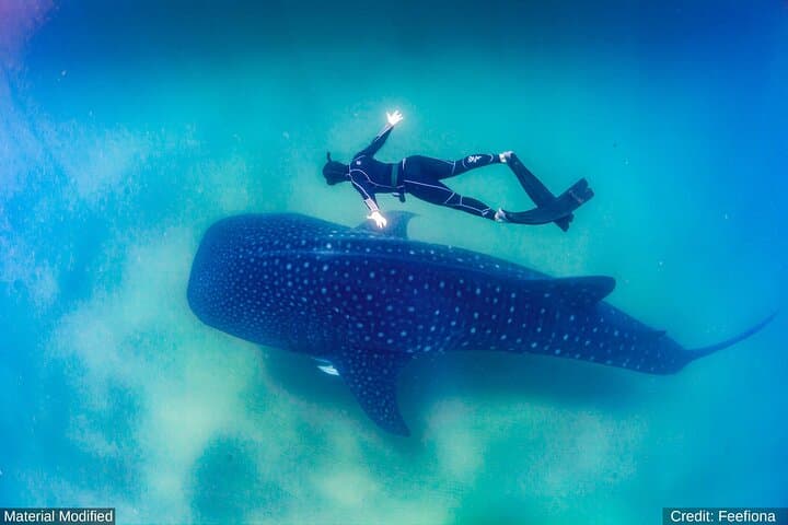 Cabo & Southern Baja: 5-Day First-Class Adventure — Ziplines, ATVs & Snorkel