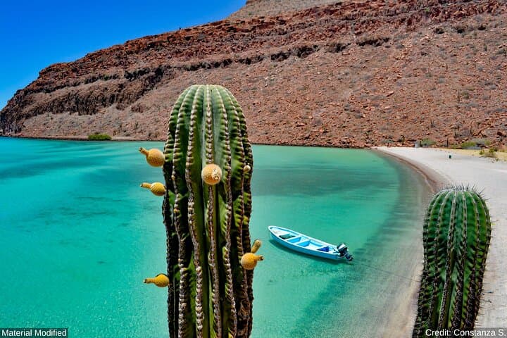 Cabo & Southern Baja: 5-Day First-Class Adventure — Ziplines, ATVs & Snorkel photo 4