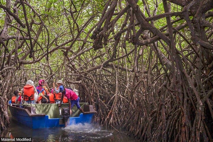 Sri Lanka in 10 Days: First-Class Cultural & Wildlife Circuit photo 5