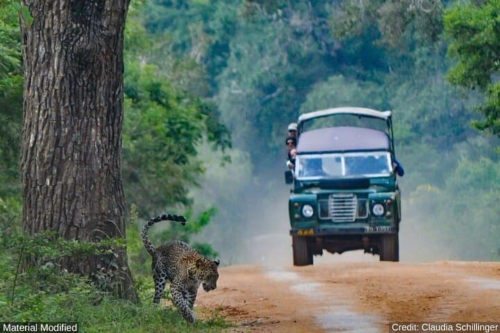 Sri Lanka in 10 Days: First-Class Cultural & Wildlife Circuit